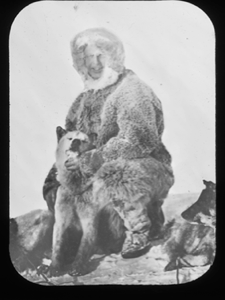 Image: Donald MacMillan in furs with seated dog